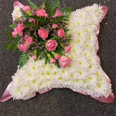 Cushion 