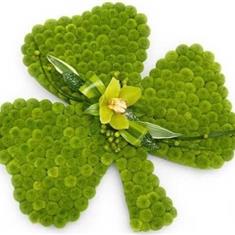 Shamrock 