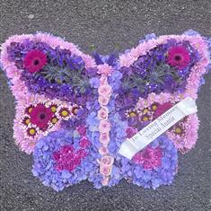 Purple and Lilac Butterfly 