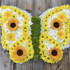 Yellow Butterfly 