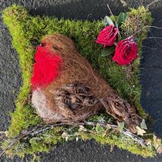 Robin Tribute 