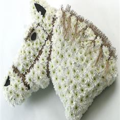 Horses Head Tribute 