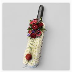 Cricket Bat &amp; Ball