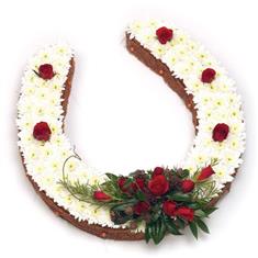 Horse Shoe