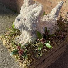 Westie Highland Dog Terrier Funeral Tribute 