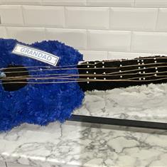 Guitar o1