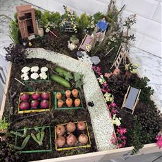 Garden Allotment 
