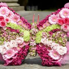 Small Butterfly 
