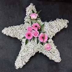 Gyp Star 15-01-2026 21 24 08